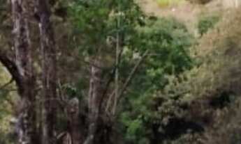 Imagem: CHALÉ COMPLETO NO CONDOMÍNIO CLUBE DA