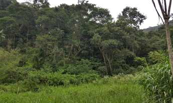 Imagem 3: LINDO SÍTIO DE 4 ALQUEIRES COM LAGO E PASTO - PIRACAIA