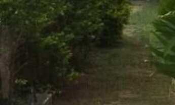 Imagem 6: Casa em Condomínio de Luxo com 4 Quartos e 4 Vagas - Atibaia-SP, Portão 230m²