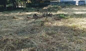 Imagem 4: Terreno RESIDENCIAL em Atibaia - SP, Vale das Flores