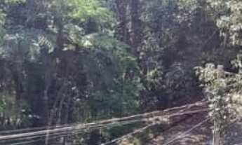 Imagem 4: Chácara de alto padrão em condomínio à venda em Mairiporã: 3 quartos, 1 suíte, 3 salas, 3