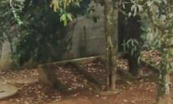 Imagem 4: Chácara RURAL em Mairiporã - SP, mato dentro