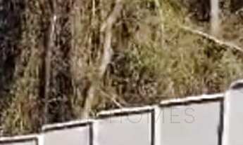 Imagem 3: Terreno à venda em Nazaré Paulista-SP Bairro Recreio do Atibainha 500,00 m² de área