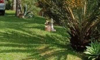 Imagem 2: Chácara à venda em Atibaia-SP, bairro Laranjal: 3 quartos, 2 suítes, 2 salas, 3 banheiros
