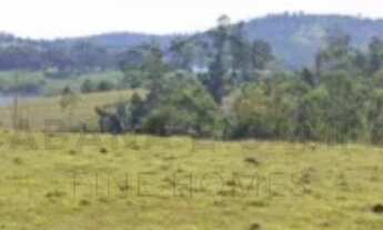 Imagem 2: Terreno à venda na Vila dos Artistas, Piracaia-SP: 20.000 m² de área disponível!