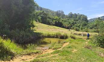 Imagem 6: Sítio em Piracaia 8 alqueires com nascente