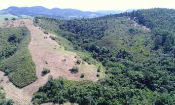 Imagem 7: Sítio em Piracaia 8 alqueires com nascente