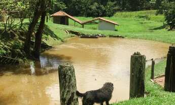 Imagem 5: Sitío em Piracaia com 11 Alqueires