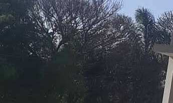 Imagem 2: Linda chácara nova à venda dentro de Condomínio localizada em Piracaia