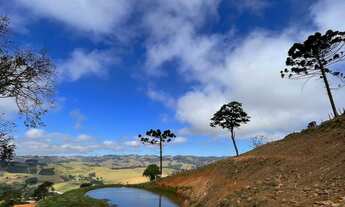 Imagem: Oportunidade terreno a venda em Divinolândia