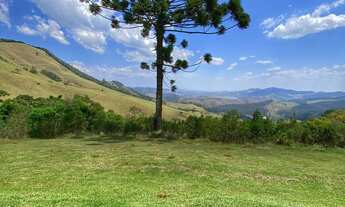 Imagem: Fantástico Sítio a Venda com 29 Alqueires