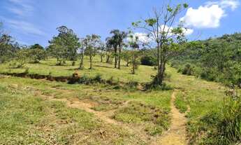 Imagem 4: Sítio em Piracaia 8 alqueires com nascente