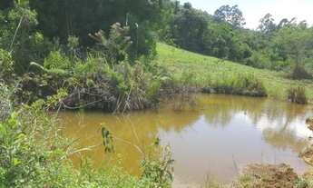 Imagem 3: Sítio em Piracaia 8 alqueires com nascente