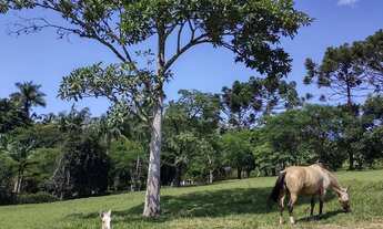 Imagem 5: Sítio de luxo com 6 quartos e 237.000,00m² no bairro Portão em Atibaia-SP