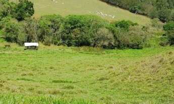 Imagem 7: Fazenda em Piracaia com 21 alqueires