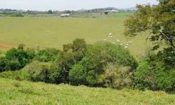 Imagem 2: Fazenda em Piracaia com 21 alqueires