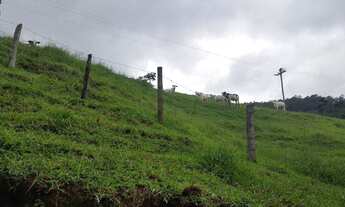 Imagem 7: Sítio à Venda em Piracaia com 4 Alqueires
