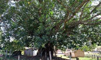 Imagem 6: Sítio à Venda em Piracaia com 62.000m²