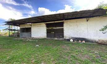 Imagem 4: VENDO ÁREA DOCUMENTADA COM 250 MIL M2 NA PISTA DA AM 010 - MANAUS - AM Á 15 MINUTOS DA BAR