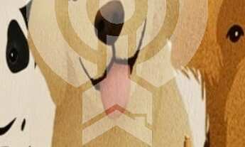 Imagem 5: APARTAMENTO RESIDENCIAL em FORTALEZA - CE, MONDUBIM