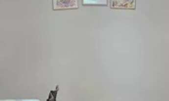 Imagem 4: APARTAMENTO RESIDENCIAL em SÃO BERNARDO DO CAMPO - SP, CENTRO