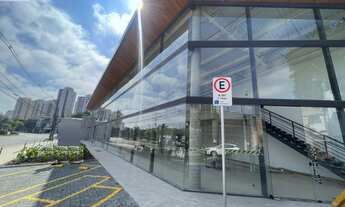 Imagem 7: PONTO COMERCIAL em SÃO CAETANO DO SUL - SP, BARCELONA