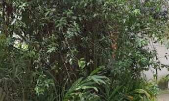 Imagem: TERRENO RESIDENCIAL em RIBEIRÃO PIRES