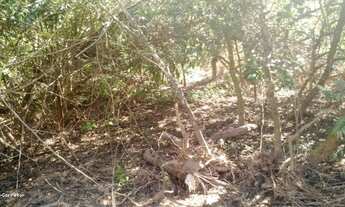 Imagem 5: Terreno para Venda em Socorro / SP no bairro Camanducaia do Meio