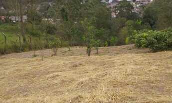 Imagem 7: Terreno para Venda em Ribeirão Pires / SP no bairro Quarta Divisão