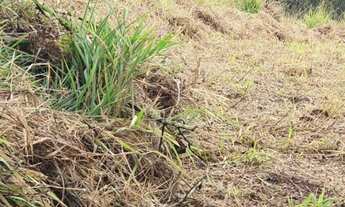 Imagem 3: Terreno para Venda em Ribeirão Pires / SP no bairro Quarta Divisão