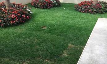 Imagem 6: Casa em Condomínio à Venda em Cravinhos-SP, 3 Quartos, 1 Suíte, 2 Salas, 2 Banheiros, 4 Va