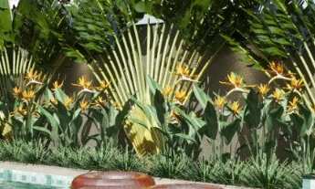 Imagem 7: Luxuosa Casa em Condomínio à Venda em Ribeirão Preto-SP, Bairro Condomínio Guaporé: 4 Quar