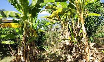 Imagem 5: Terreno à venda na cidade de Ribeirão Preto-SP, bairro City Ribeirão, 540,50 m² de área!
