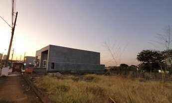 Imagem 3: Terreno Comercial para Locação em Ribeirão Preto-SP, Jardim Cybelli - 350m² de Área Dispon