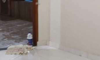 Imagem 7: Imperdível! Casa à venda em Ribeirão Preto-SP, Residencial Parque dos Servidores: 3 quarto