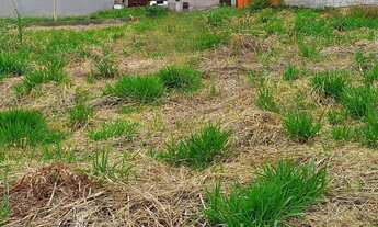 Imagem 3: Terreno à venda em Ribeirão Preto-SP, Quinta da Mata, 250m². Localizado no Villas do Miran