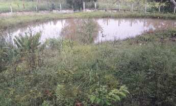 Imagem 7: CHÁCARA PARA VENDA PRÓXIMA DE POUSO ALEGRE-MG