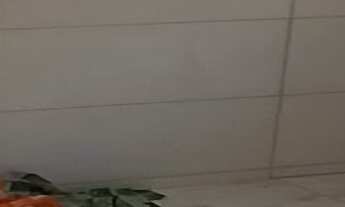 Imagem 6: CASA EM FASE DE PINTURA NO PARQUE REAL, COM 02 QUARTOS, SENDO 01 SUÍTE COM JARDIM DE INVER