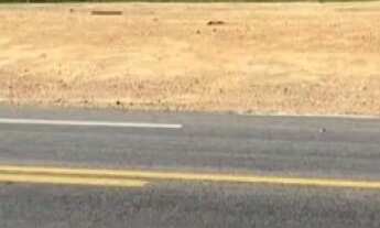 Imagem: ALUGA-SE OU VENDE-SE GALPÃO COM 600,00