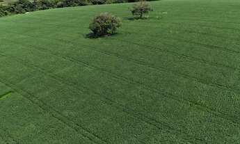 Imagem: FAZENDA RURAL em CAREAÇU - MG, zona rural