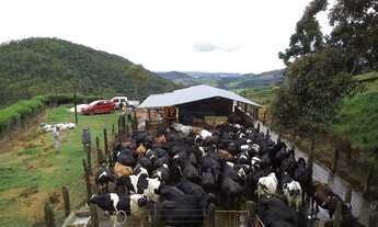 Imagem: Fazenda em Antônio Carlos MG. 214 ha
