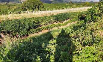 Imagem: Propriedade Rural em Piraju - SP