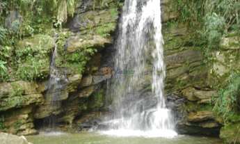 Imagem: Fazenda a Venda em Piraju SP