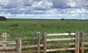 Imagem 5: Extraordinária Fazenda à venda em Santa Terezinha, MT, 20.303,00 hectares