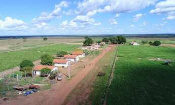 Imagem 6: Extraordinária Fazenda à venda em Santa Terezinha, MT, 20.303,00 hectares