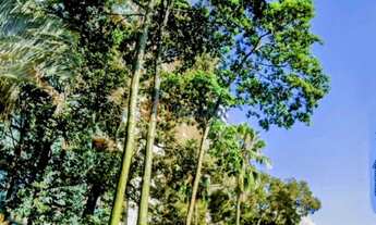 Imagem 3: Impecável apartamento à venda no Cambuí, Campinas-SP: 4 quartos, 4 suítes, 4 salas, 6 banh