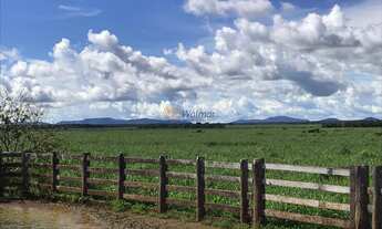 Imagem: Extraordinária Fazenda à venda em Santa