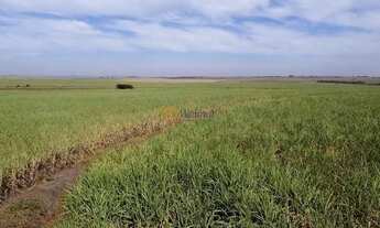 Imagem: Fazenda de luxo à venda em Araçatuba-SP