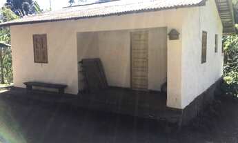 Imagem 6: Fazenda Bela Vista: 250ha Investimento Imobiliário com Infinitas Possibilidades!