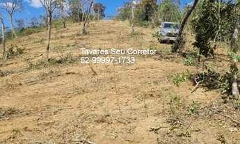 Imagem: Fazenda de alto potencial produtivo à venda
